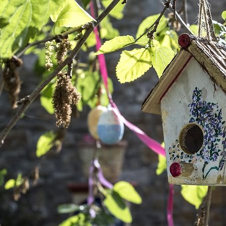 Country House Araba Phoenix Castellabate Ngoại thất bức ảnh