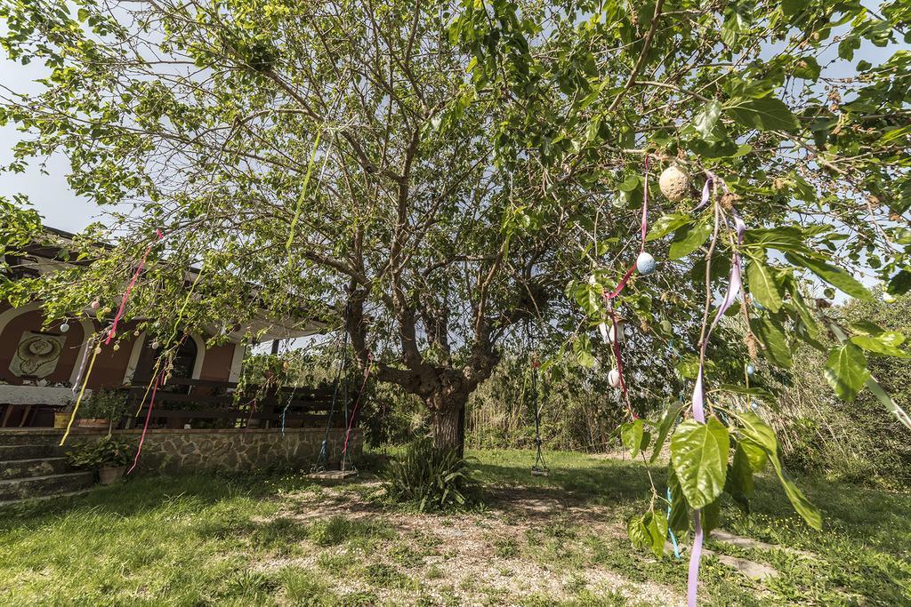 Country House Araba Phoenix Castellabate Ngoại thất bức ảnh